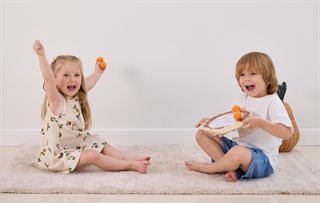 PolarB® Wooden Hedgehog Target Game